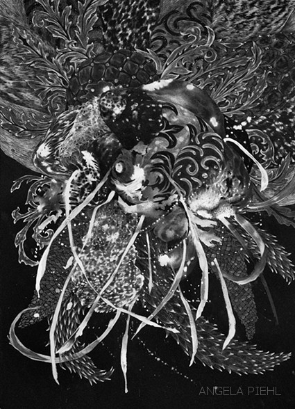 Splash Image